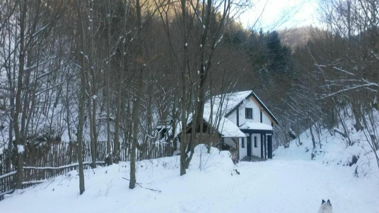 Cabana Crenguta Sibiu Luaran gambar